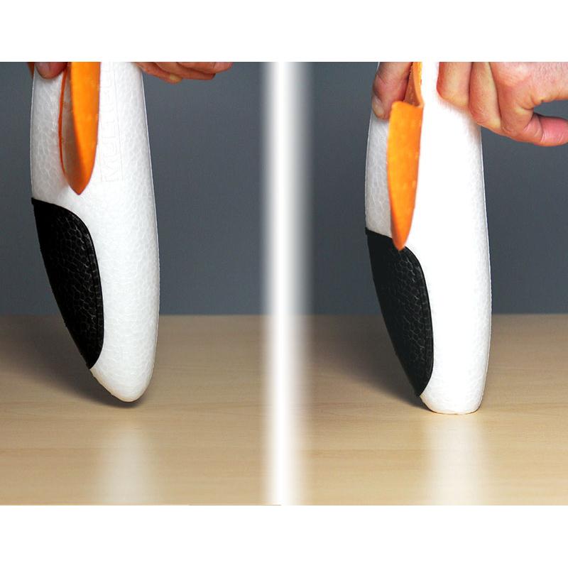 MODÈLE DE VOL LIBRE "LOOPI"