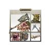 warharmmer " age of sigmar" maggotkin of nurgle putrid blightkings 83-28