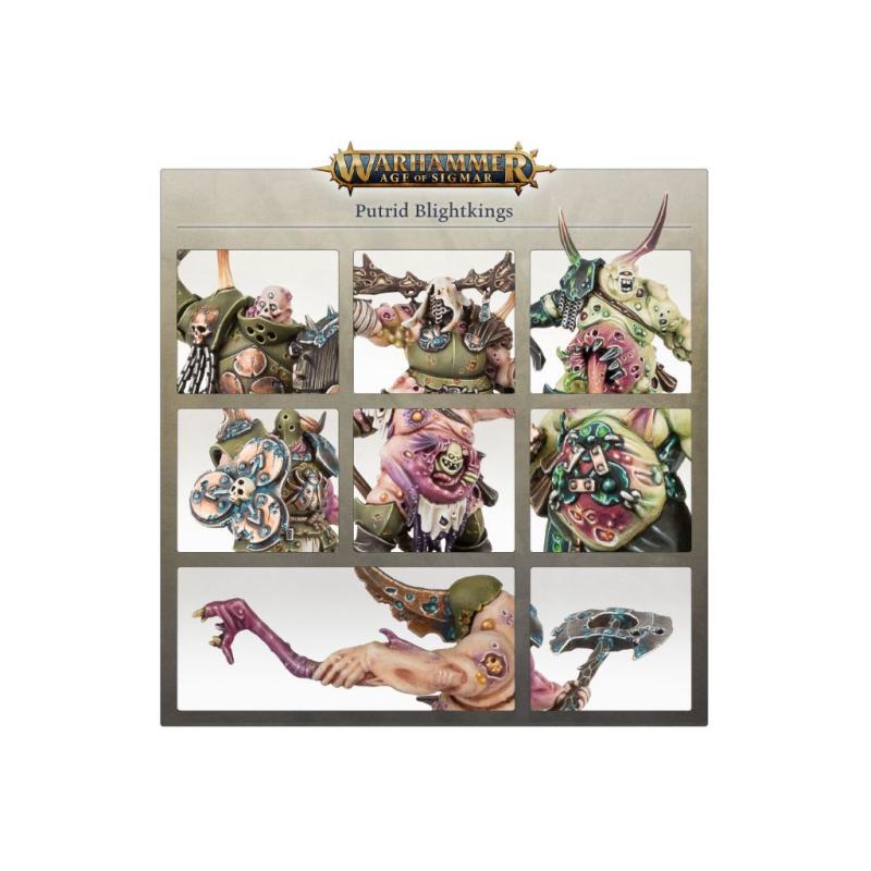 warharmmer " age of sigmar" maggotkin of nurgle putrid blightkings 83-28