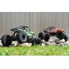 Voiture rc 1/10 Pirate Swinger Green T2M